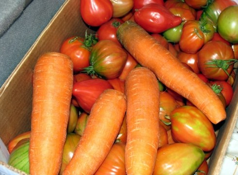 Nekazaritza Ekologikoaren I. Astea aurkeztu dute