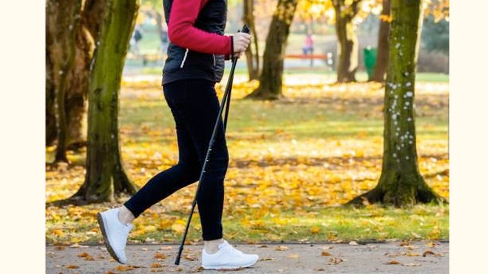 Nordic Walking tailerra eskainiko dute maiatzean 16an