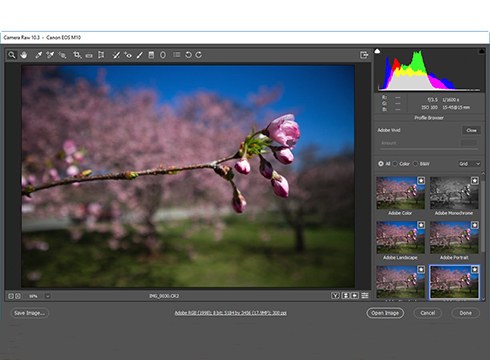 Oinarrizko Photoshop ikastaroa antolatu du Arrate Kultur Elkarteak
