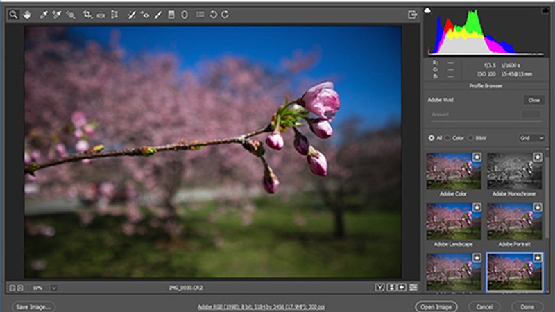 Oinarrizko Photoshop ikastaroa antolatu du Arrate Kultur Elkarteak