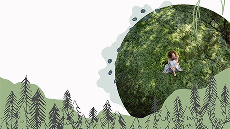 Olabeko zelaian baso-bainuetan parte hartzeko epea zabalik dago