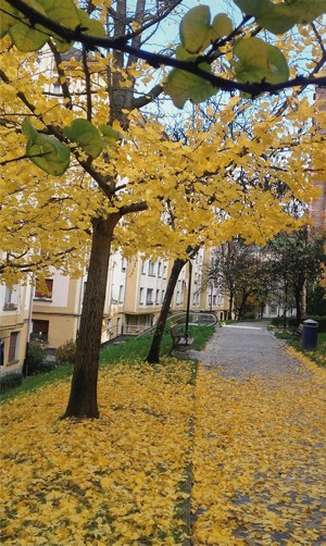 "Orbel-hosto, goi-behe. Naturaren ordena" (Juan Luis Atxa)