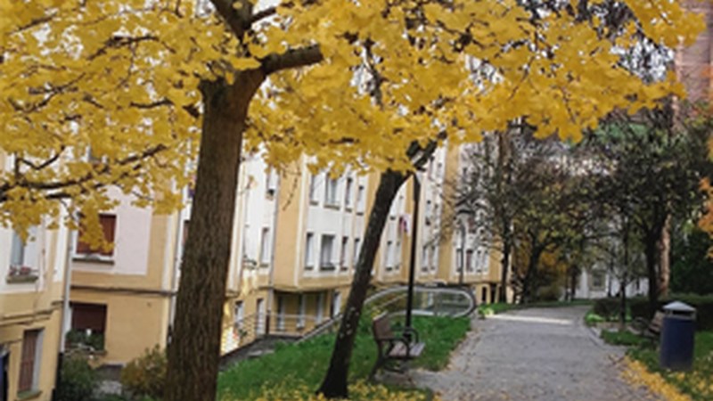 "Orbel-hosto, goi-behe. Naturaren ordena" (Juan Luis Atxa)