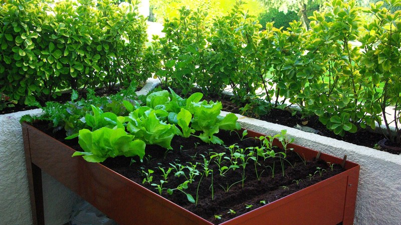 "Ortua balkoian" hitzaldia gaur 19:00etan