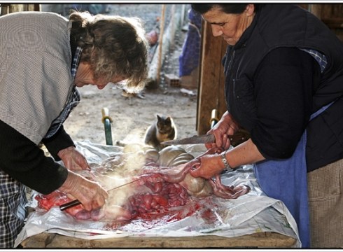 Palacios aita-semearen argazkiak eta ikus-entzunezkoa La Bañezan ikusgai