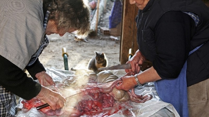 Palacios aita-semearen argazkiak eta ikus-entzunezkoa La Bañezan ikusgai