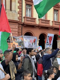 Palestinaren aldeko manifestazioa
