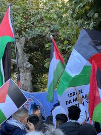 Palestinaren aldeko manifestazioa