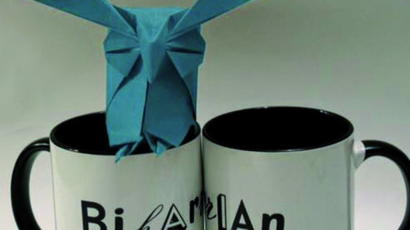 Papiroflexia tailerra antolatu du Biharrian espazioak datorren zapaturako