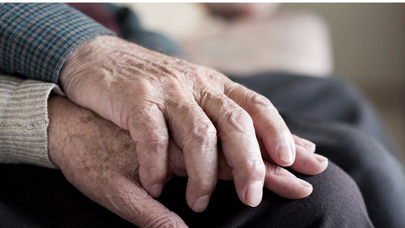 Pentsiodunen Mugimenduak egoitzetako informazio «osoa eta egiazkoa» eskatu die agintariei