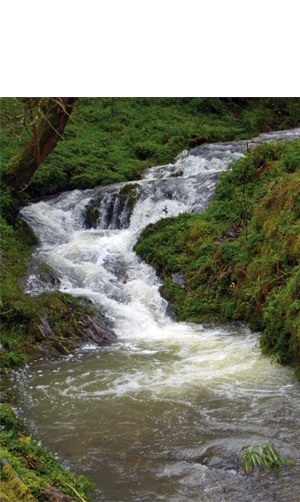 "Txonta errekaren indar bizia” (Periko Iriondo)