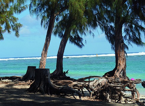Periko Iriondoren “Reunion Uharteak Indikoan” proiektatuko dute gaur Deporren