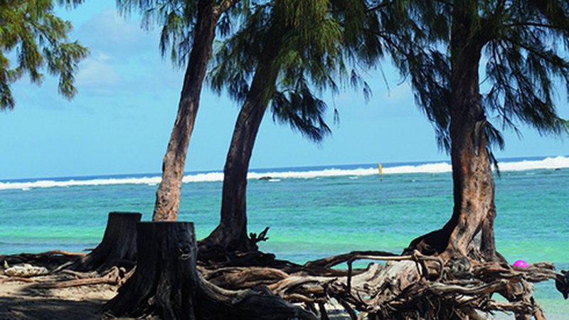 Periko Iriondoren “Reunion Uharteak Indikoan” proiektatuko dute gaur Deporren