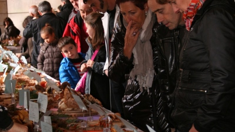 Perretxiko bilduma ikusgarria Jardunaldi Mikologikoetan