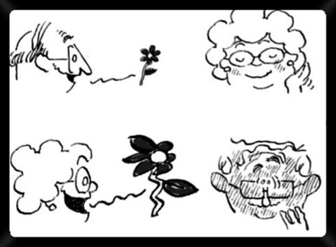 Piropo lehiaketara aurkeztutakoei botoa emateko epea zabalik