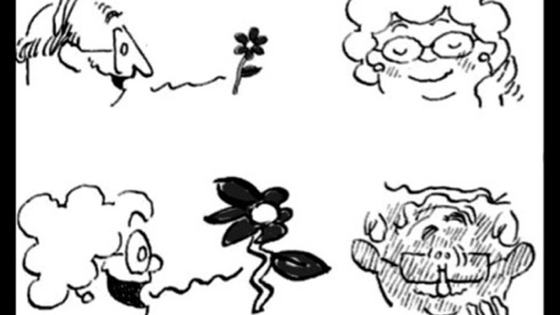 Piropo lehiaketara aurkeztutakoei botoa emateko epea zabalik