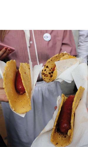 “Plater hegalariak” azoka egunean (Malen Illarramendi)