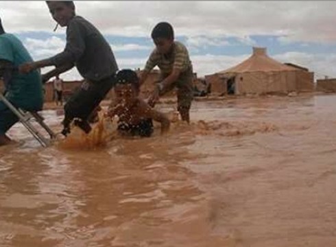 Saharako Ilargi Gorriak errefuxiatuei laguntzeko larrialdi deia egin du