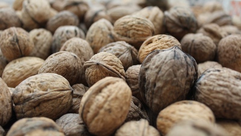 San Andres Eguna (2016)