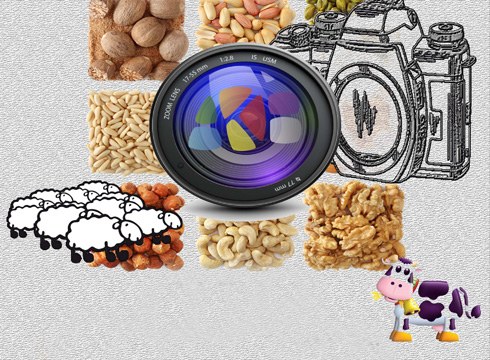 San Andres II. Argazki Rallya antolatu du Arrate Kultur Elkarteak