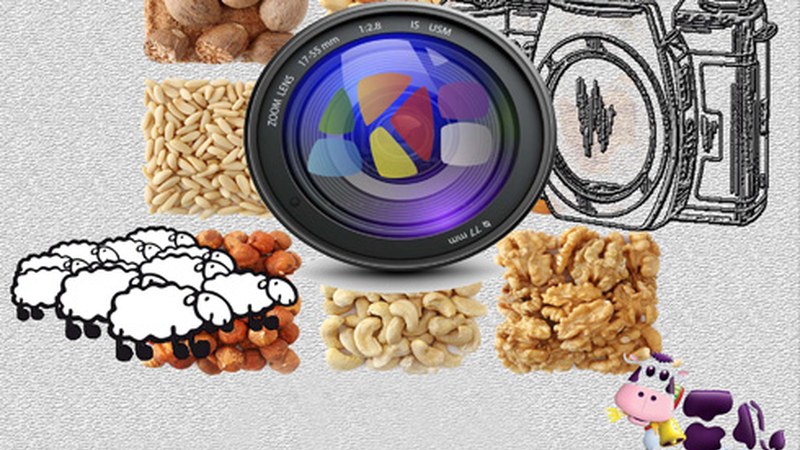 San Andres II. Argazki Rallya antolatu du Arrate Kultur Elkarteak