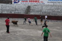 Sanjuanak 2016-6-24 (San Juan eguna)