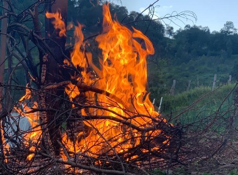 Koronabirusak ez du San Juan surik itzali