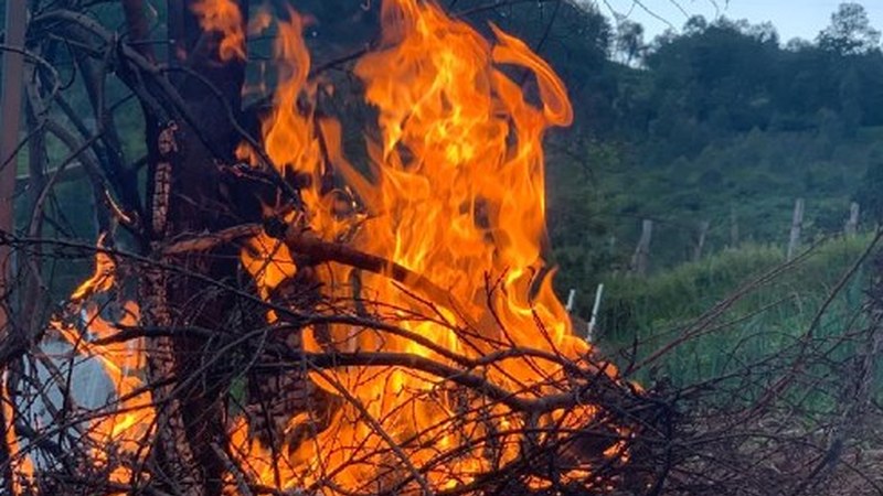 Koronabirusak ez du San Juan surik itzali