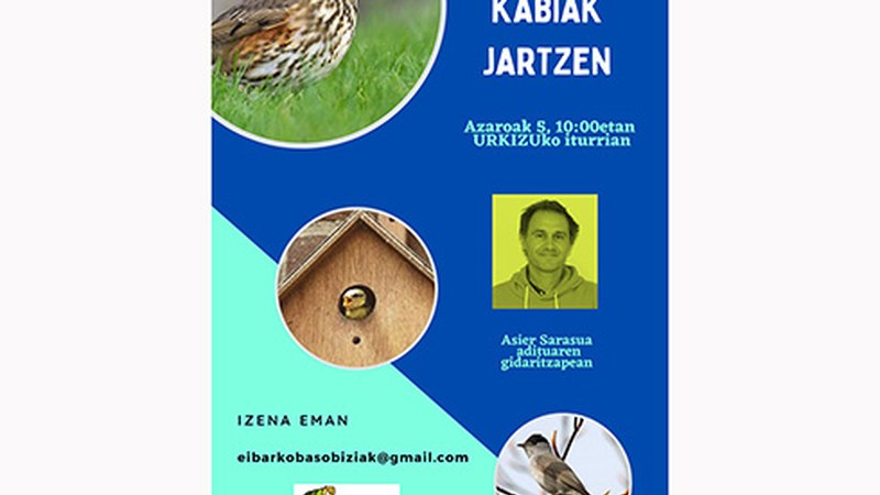 Santa Kurutzen txori kabiak jartzeko irteera antolatu du Eibarko Baso Biziak-ek