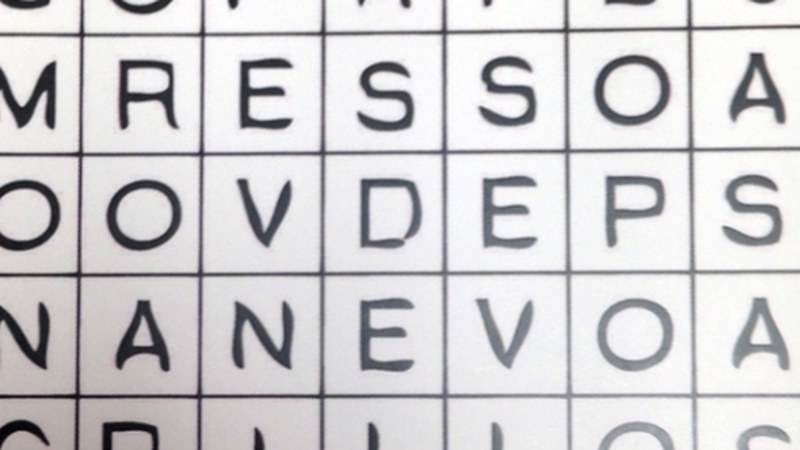 "Sopa de grillos", artearen aldarrikapena Portaleko erakusketa aretoan