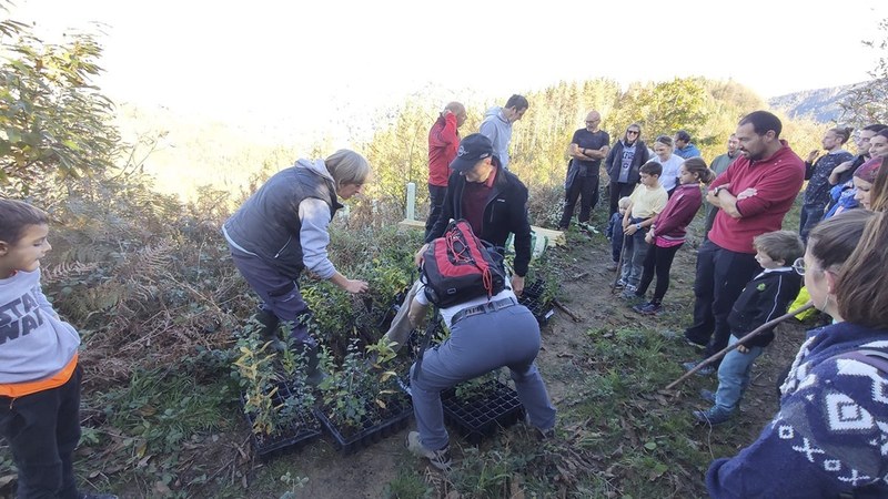 Sorginbason zuhaitzak landatzera joateko gonbidapen zabala egin du Eibarko Baso Biziak taldeak
