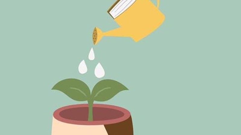 Sormena, kantagintza, umorea hezkuntzan… 15 ikastaro prestatu ditu UEUk udaberriko eskaintzan