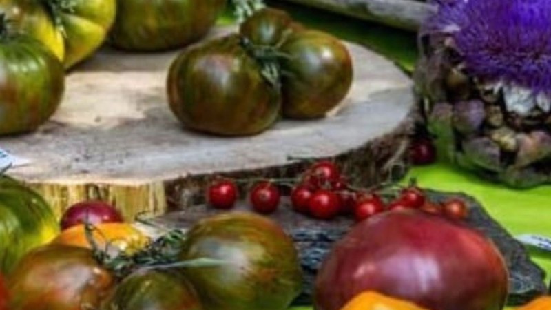 Tomate-dastaketa eta erakusketa egingo da Arrate Kulur Elkartean ostiral honetan