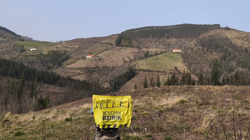 Topinburura mendi-martxa eta banderolen salmenta egingo ditu Mendiak Bizirik-ek asteburuan