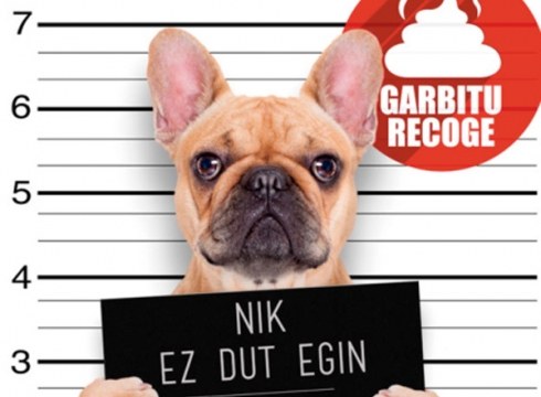 Txakur-kakak jasotzeko kanpaina abian