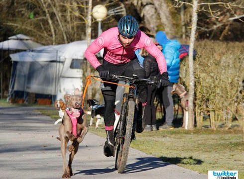 Txakurkross-ean Andoni Mayok jaso du aurtengo herriko Kirol Saria