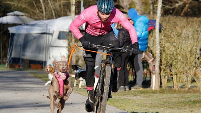 Txakurkross-ean Andoni Mayok jaso du aurtengo herriko Kirol Saria