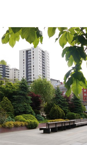 “Udaberria Eibarren” (Ray Muñoz)