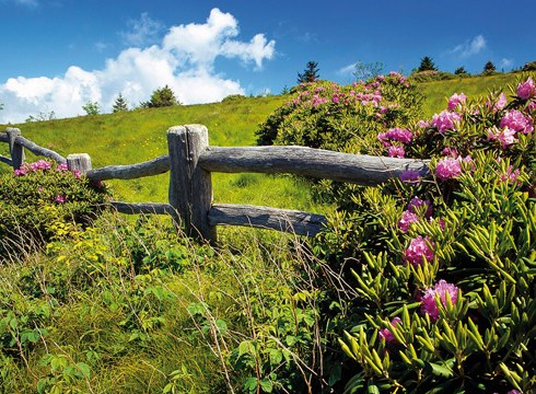 Udaberria, sasoi aldaketa baino gehiago