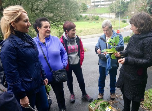 Sasoiko lore eta landareak biltzen jardun dute berbalagunek asteburuan