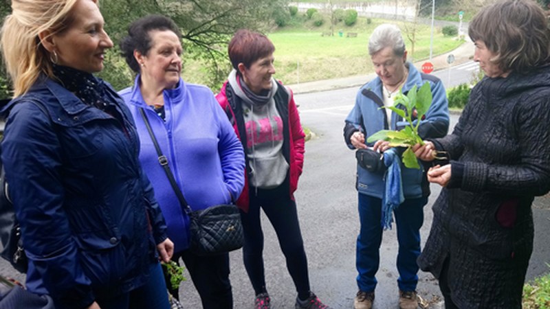 Sasoiko lore eta landareak biltzen jardun dute berbalagunek asteburuan