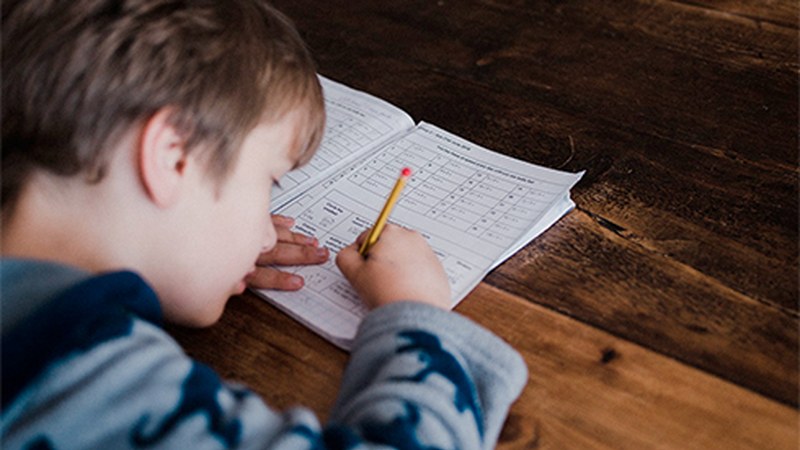Udako Euskal Unibertsitateak udazkenerako antolatu dituen ikastaroetarako matrikula zabalik dago