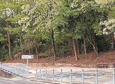 Udal aurrekontua onartzeko ados ipini dira PSE-EE eta Elkarrekin Podemos