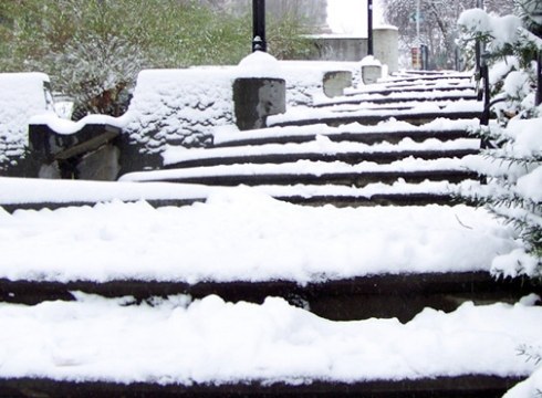 Udalak elurrari aurre egiteko protokoloa aktibatu du