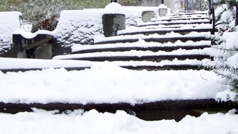 Udalak elurrari aurre egiteko protokoloa aktibatu du