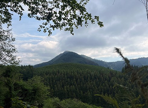 Udalak hiru lursail erosi ditu Urko eta Kalamua inguruan basoa berreskuratzeko asmoarekin