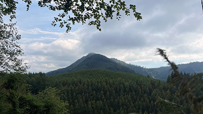 Udalak hiru lursail erosi ditu Urko eta Kalamua inguruan basoa berreskuratzeko asmoarekin