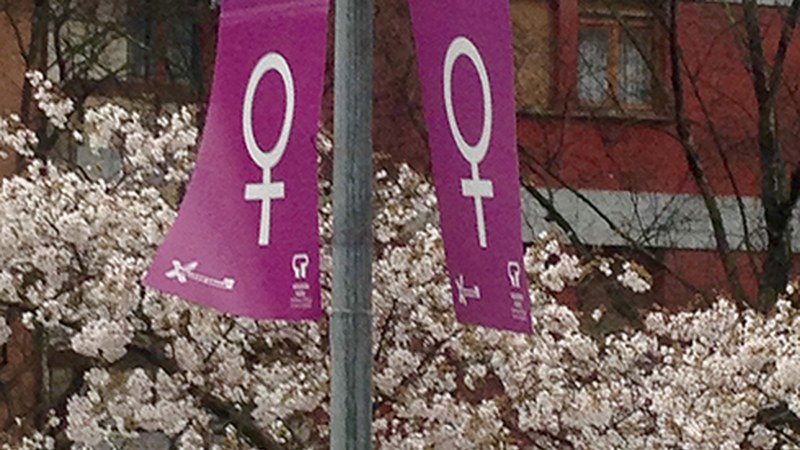 Udalak Martxoaren 8aren inguruko adierazpen instituzionala onartu du