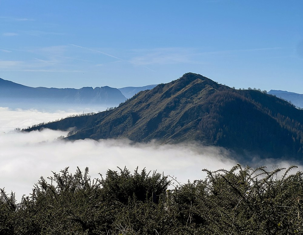 Udalak Urko mendiaren magaleko lursail bat erosi du baso autoktonoa berreskuratzeko