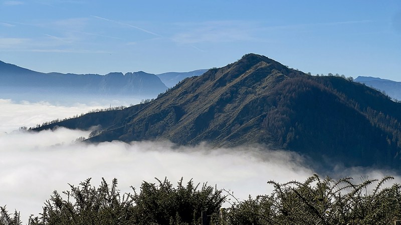 Udalak Urko mendiaren magaleko lursail bat erosi du baso autoktonoa berreskuratzeko